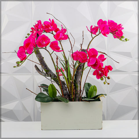 Orchid Flowers Arrangement with Square Shape Vase