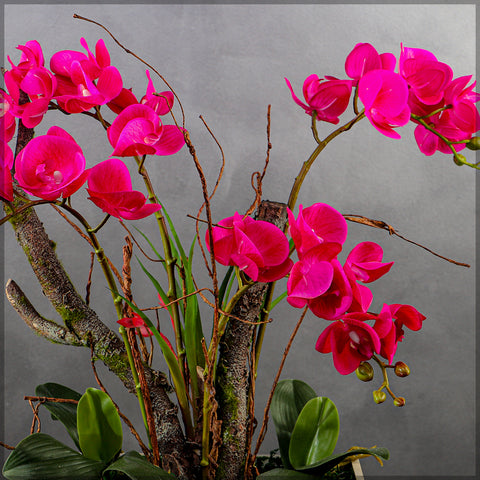 Orchid Flowers Arrangement with Square Shape Vase