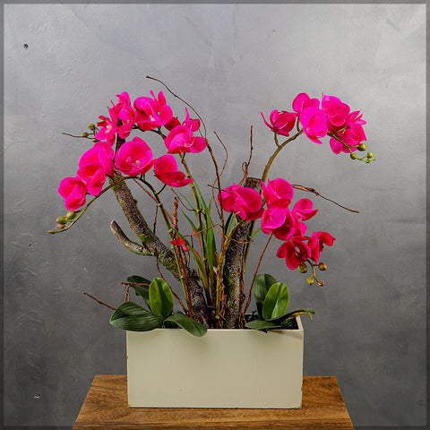 Orchid Flowers Arrangement with Square Shape Vase