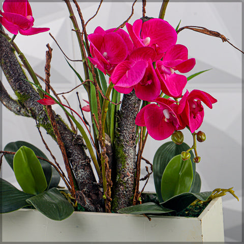 Orchid Flowers Arrangement with Square Shape Vase