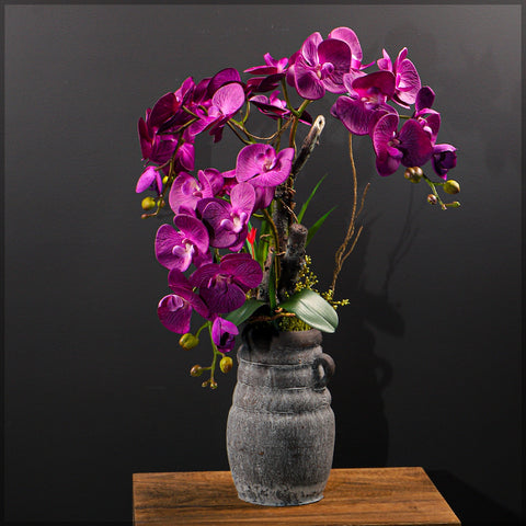 Purple Orchid Arrangements