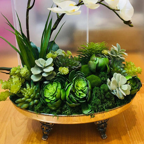 Artificial Orchid with Succulents Arrangements