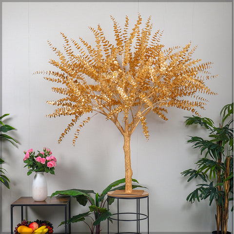 Golden eucalyptus tree