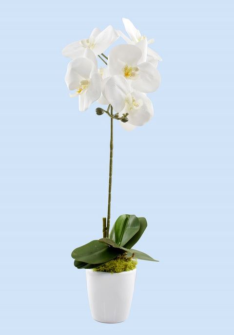 Artificial Potted Phalaenopsis Orchid Plant