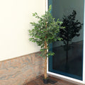 Tall artificial ficus plant for stylish home décor