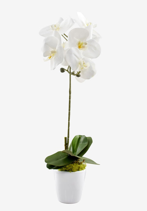 Artificial Potted Phalaenopsis Orchid Plant