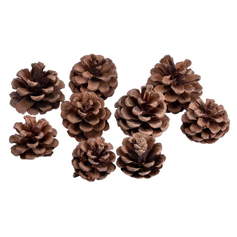 Natural Rustic Pine Cones Brown