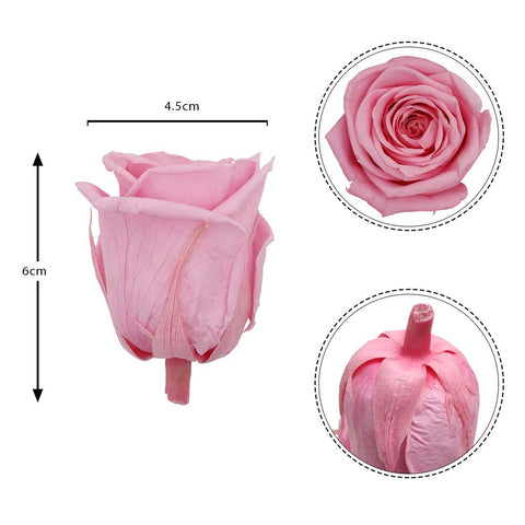 6CM Preserved Rose Flower