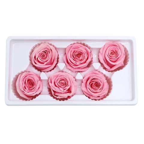 6CM Preserved Rose Flower