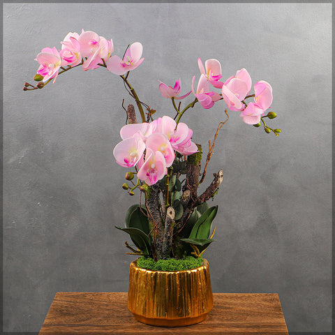 Orchid Flowers Arrangement Pink Color with Vase