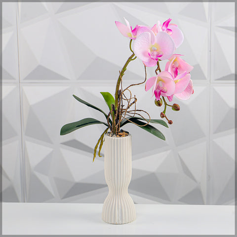 Orchid Flowers Arrangement with Pot