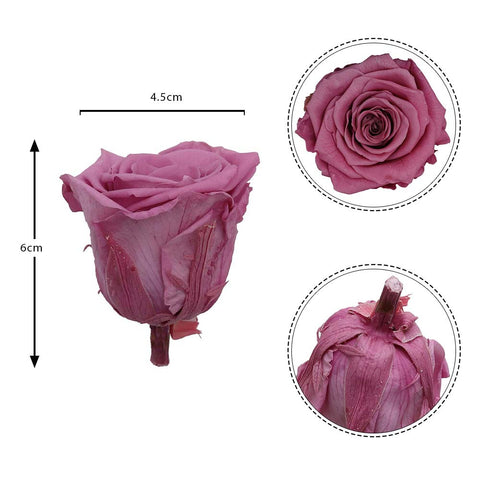 6CM Preserved Rose Flower