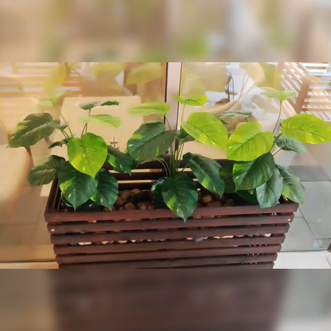 Shop Plant Box with Plant Decoration