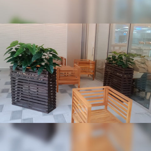 Shop Plant Box with Plant Decoration