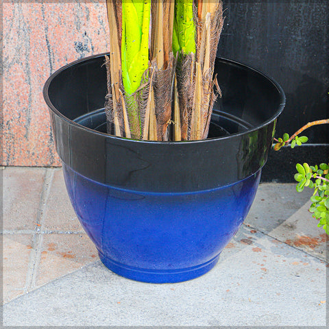 Blue plastic flower pots