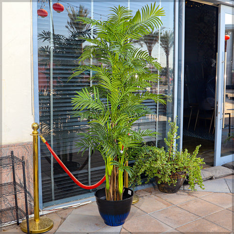 Set of blue plastic pots for plants