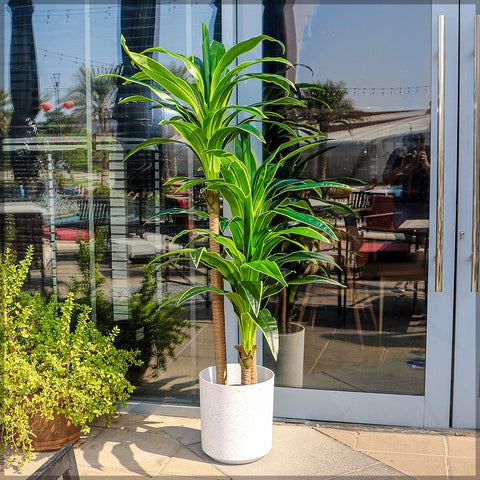 White plastic planter