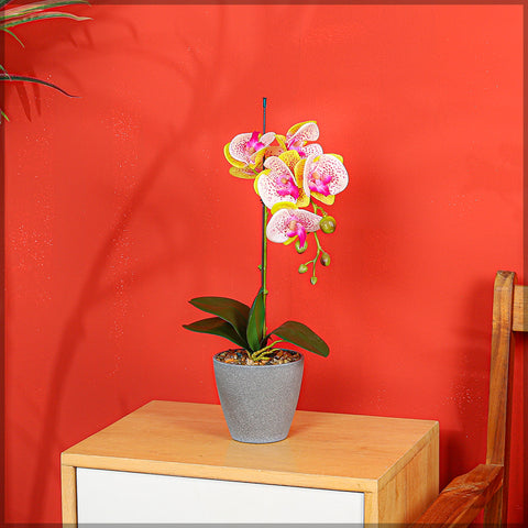 Artificial Potted Phalaenopsis Flower