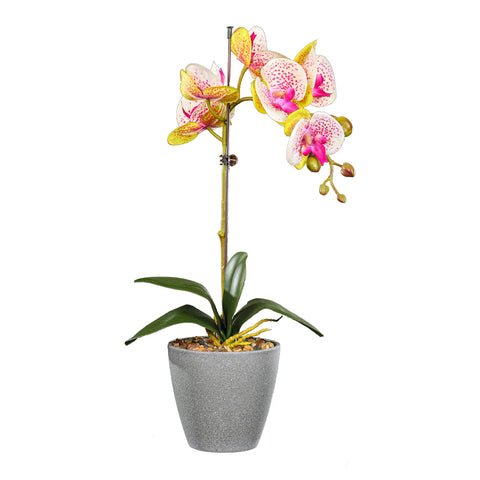 Artificial Potted Phalaenopsis Flower