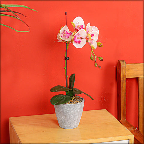 Artificial Potted Phalaenopsis Flower