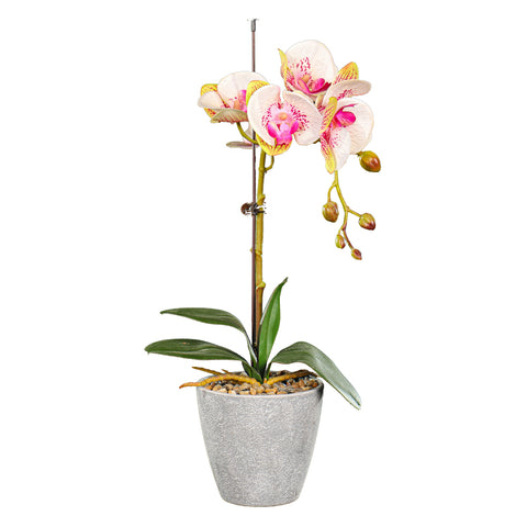 Artificial Potted Phalaenopsis Flower