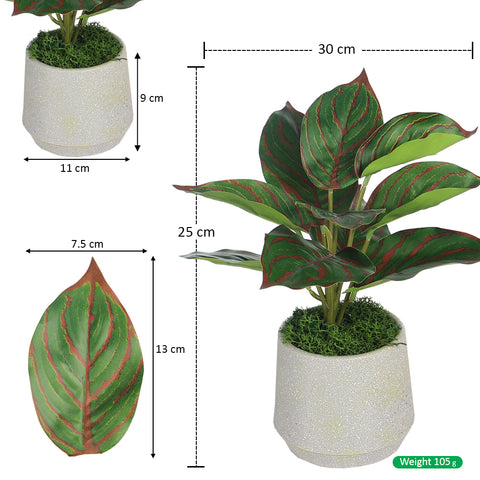 Potted Artificial Evergreen Small Plants