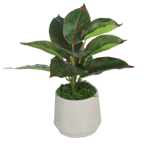 Potted Artificial Evergreen Small Plants