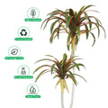 Tropical yucca plant for indoor and office decoration