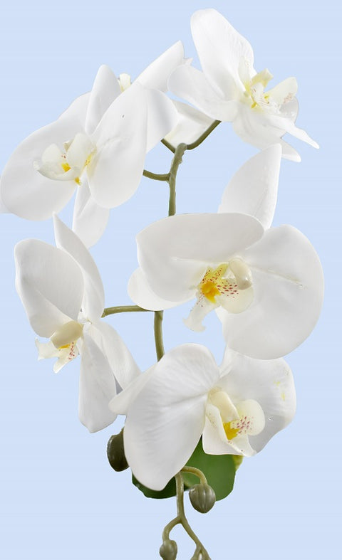 Artificial Potted Phalaenopsis Orchid Plant