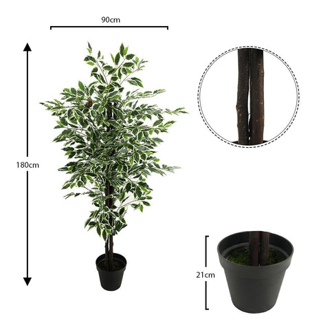 Realistic faux white ficus plant