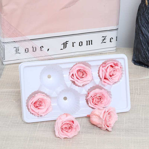 6CM Preserved Rose Flower