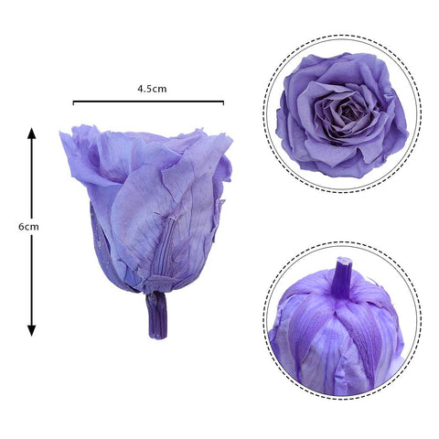 6CM Preserved Rose Flower