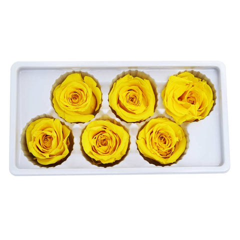 6CM Preserved Rose Flower