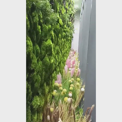 Moss Carpet Wall Decoration