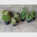 Green Cactus Ball Plant Replica