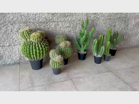 Green Cactus Ball Plant Replica