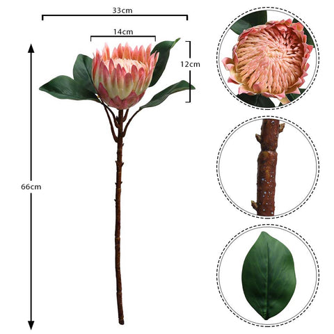 Faux Silk Protea Flowers Plant