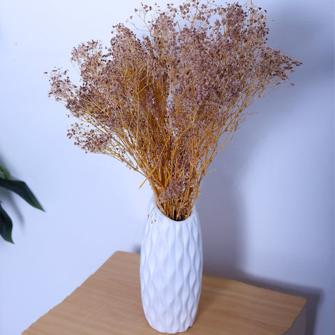 Dried Gypsophila Flowers