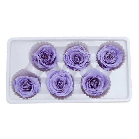 6CM Preserved Rose Flower