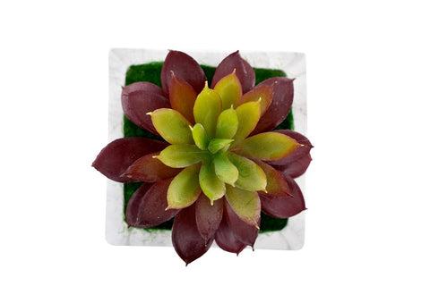 Artificial Potted Succulent Plant With Ceramic