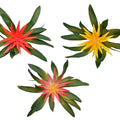 Decorative artificial guzmania for home décor