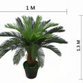 Realistic artificial cycas with lush leaves