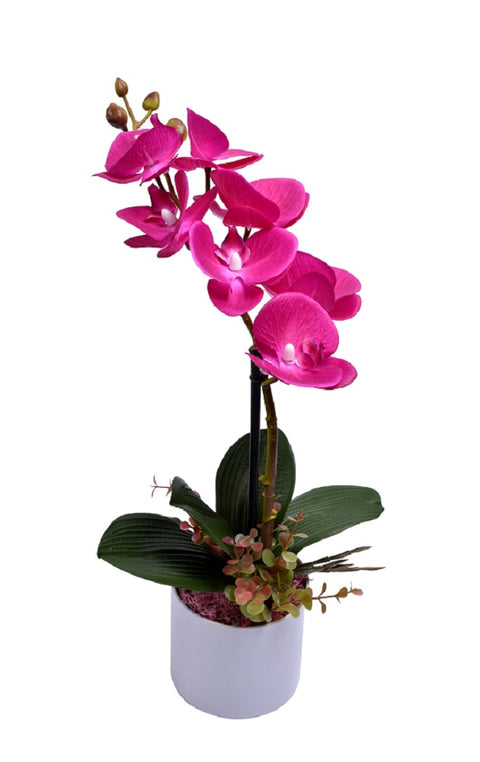 Real Touch Artificial Potted Orchid Flowers Fuchsia