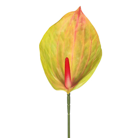 Real Touch Artificial Anthurium Flower