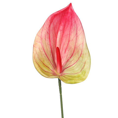 Real Touch Artificial Anthurium Flower