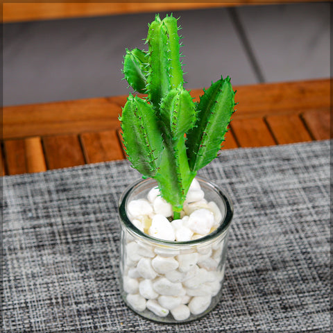 Lifelike artificial cacti for indoor spaces