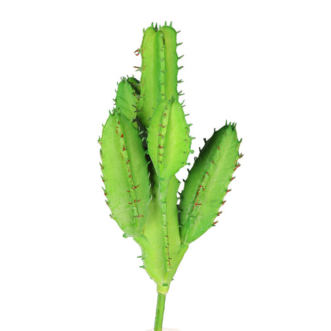 Realistic artificial cacti for home