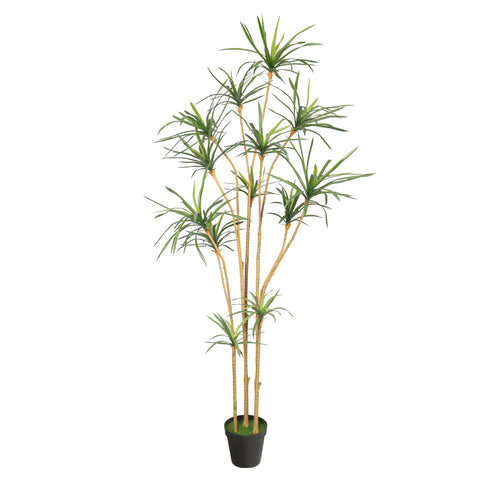 Realistic yucca plant 220cm tall for home décor