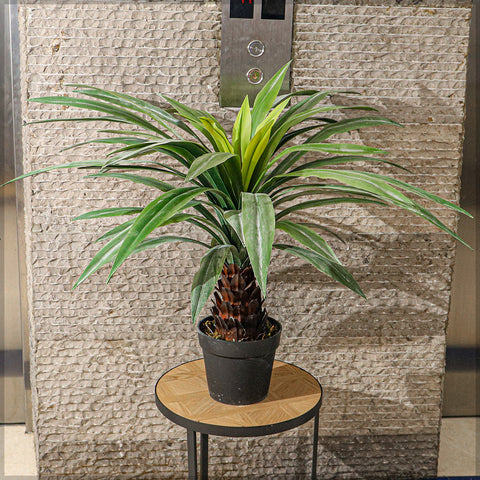 Lifelike yucca plant for modern and minimalistic styling