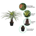 Realistic artificial yucca plant for home décor